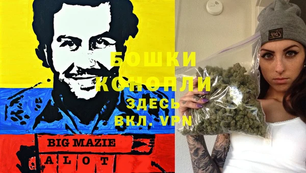 сатива Алзамай