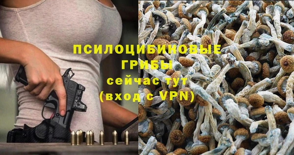 гашиш Аркадак